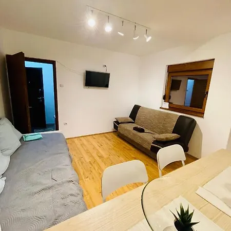 Apartment Aleksa Soko Banja