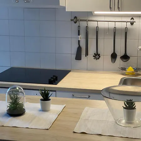 Apartment Aleksa Soko Banja